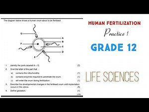 Practice 1 - Human reproduction grade 12 Life Sciences