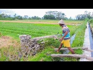 Remote Location! Hand Tractor Travel to Work Location Through Many Rice Fields