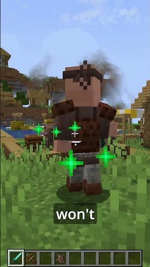 What If Minecraft Villages Had Guards?