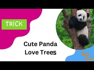 Memory Mastery: Tricks to Remember the Four Stages of Stimuli |trick to remember 4 stages of stimuli