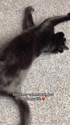 Carly M (@carly_m_tok)’s videos with original sound - Taylor