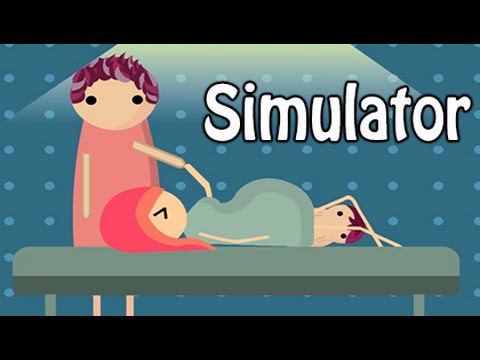 A full review of the Life Simulator 2016 experience