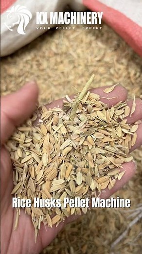 Rice Husks Pellet Machine Biomass Pellet Mill #pelletmachine #pelletmill