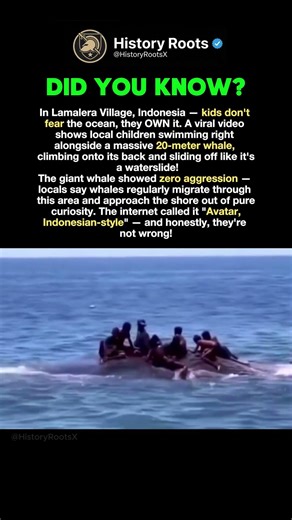 Kids Surf a Real Whale #history #facts