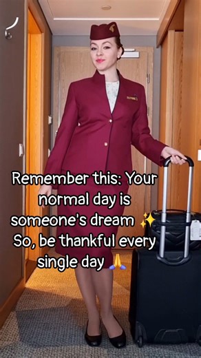Flight Attendant job vibes ✈️