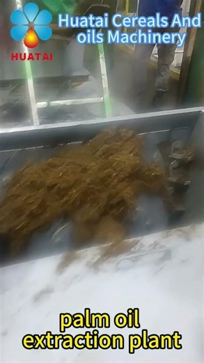 Palm Oil Extraction Solutions: A Real Look at Huatai Screw Press #palmoil #palm #pressingmachine