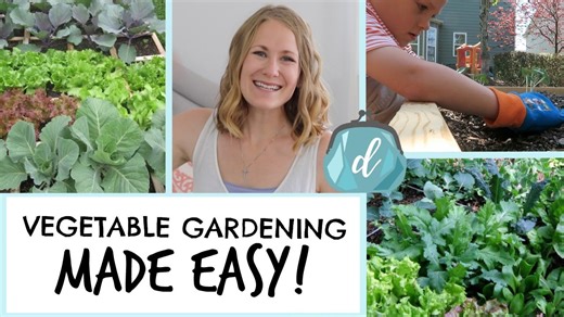 How to start an easy vegetable garden! (Small space square foot garden)