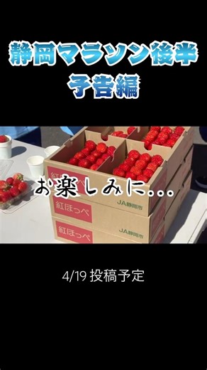 【予告】静岡マラソン(後半)編