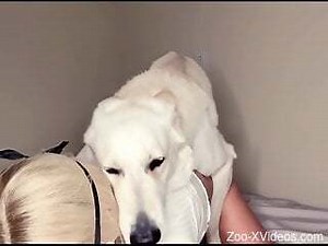 Blonde with big boobs shares webcam zoophilia in slutty scenes.mp4