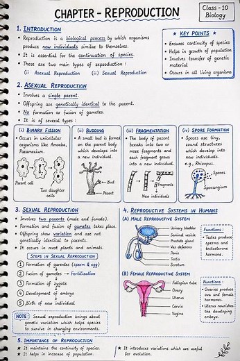 Class 10 Biology Chapter 8 | Reproduction Complete Handwritten Notes with Diagrams