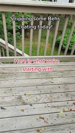 Leisure Time Stain & Seal on TikTok