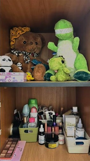 New organised everything