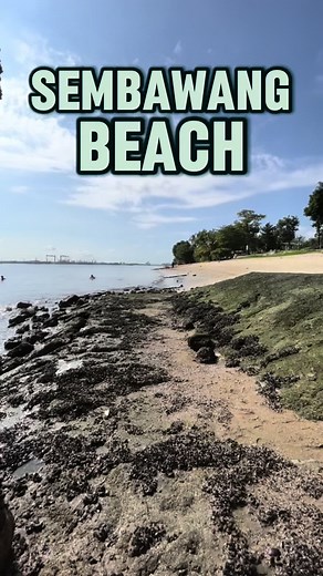 Discover Sembawang Beach This Summer in Singapore