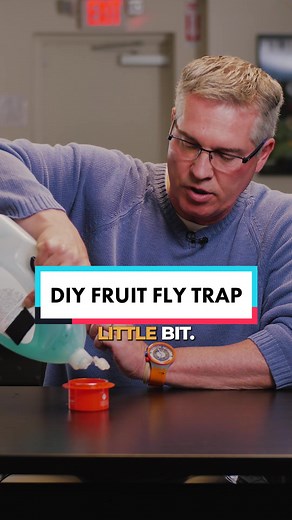 Have a fruit fly problem? Here’s a DIY solution for you! #fruitflies #pestcontrol #bugs #pestmanagement #homeownertips #homeowner #infestation #pests #insects #exterminator #bugspray #pestprevention #pestplan #pestsolutions #pestcontrolplan #pestfree #nomorebugs