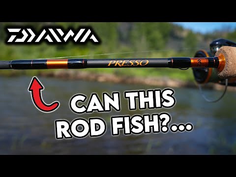 Daiwa Presso Ultralight Pack Rod Full Review: On The Water Testing/Fish Catching!