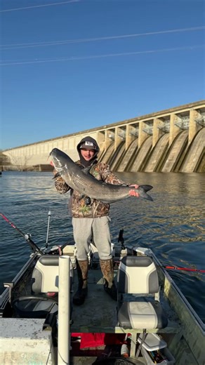 Some nice first blue cats of the year at bagnell dam #catfish #lakeoftheozarks #fishing #bigcatfish
