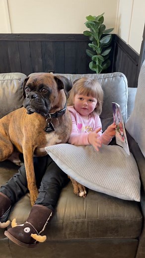 See link to Leroy’s books on our webpage #boxerpuppy #childrensbooks | Boxer Madness