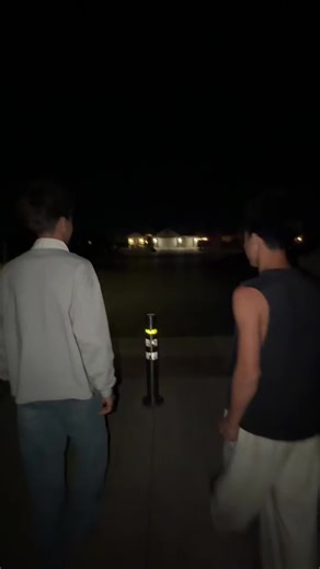 #sealion #viral #blowup #fyp #ehehehe @drake.mahuika2 | Sealion