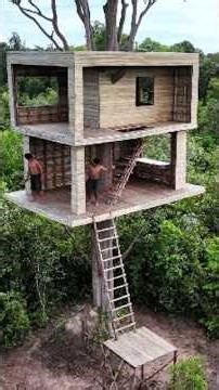 Real life building secret modern treehouse