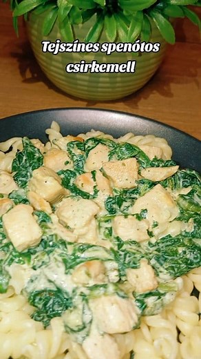159K views · 1.2K reactions | Tejszínes spenótos csirkemell Hozzávalók: - 500g csirkemell - 200g spenót - 200ml főzőtejszín - 4 gerezd fokhagyma - só, bors, fokhagymapor - kevés zsír #tejszínescsirkemell #spenót #fokhagymás #tejszínestészta #spenótostészta #egyszerűrecept #gyorsrecept | Pillecukor | Facebook