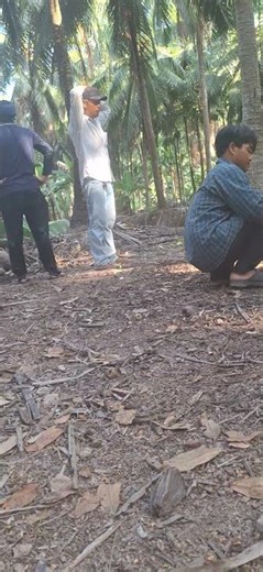 Exhumation rituals in the western region of Vietnam