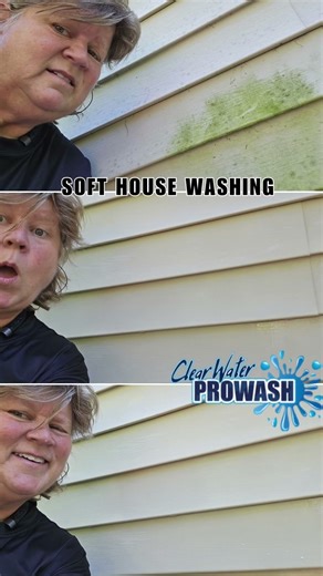 Soft House Washing The Gentle Way to Clean Your Home! #shorts