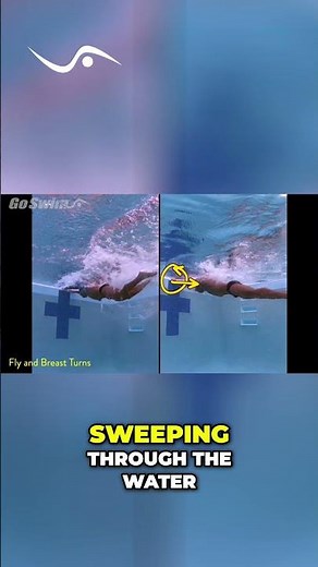 Butterfly vs. Breaststroke Turns: Underwater Showdown!