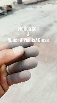 The Problem you Don’t See Hurting your Plants and Grass. (Florida)