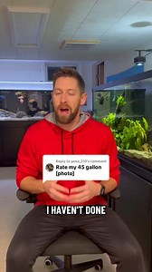 Rating your aquariums | Cichlid Bros