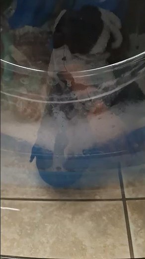 GE Ultrafresh front load washer sudsy wash