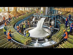 How Sugar Is Made – Unbelievable Billion Tons of Sugar Processing In Factory