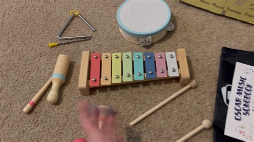 Watch Toddler/Baby Musical Instrument set review on Amazon Live