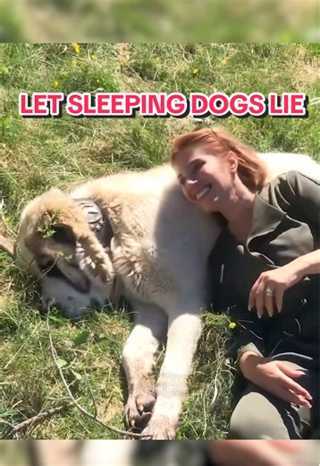 Why You Should Let Sleeping Dogs Lie: Tips for Parents