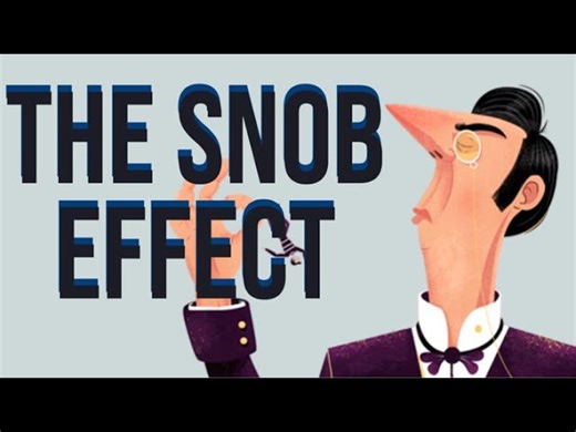 Why Snobby People Buy Expensive Things - Snob Effect