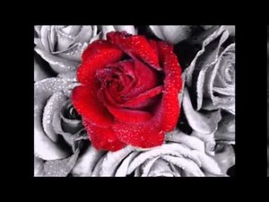 Tornero - Pepino Di Capri