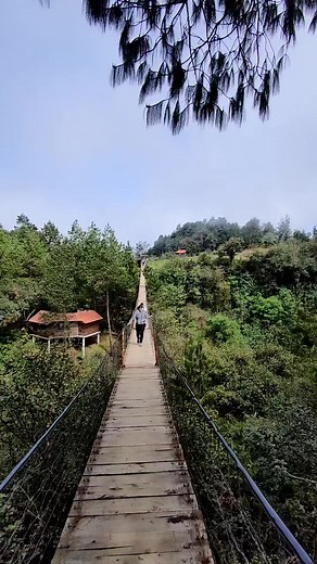 1.8K views · 61 reactions | Oigan ya conocen las cascadas de Honey están muy cerca de Chignahuapan Travel Contacta con los amigos de Sierra Tours Sierra Tours Ellos te llevan. | Chignahuapan Travel | Facebook