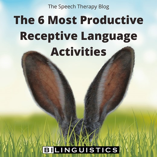 The 6 Most Productive Receptive Language Activities