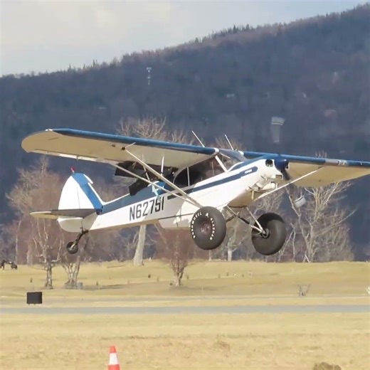 Super Cub Landing #aviation #airplane #aeroplane #supercub #stol #palmeralaska