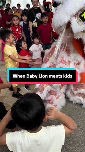 Baby Lion's Hilarious Encounter with Kids
