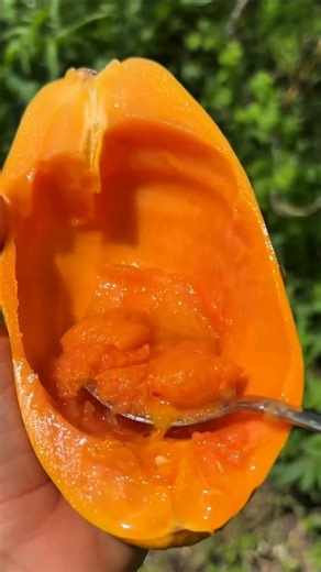 3 Natural Foods to Improve Digestion Fast | Easy Home Remedies