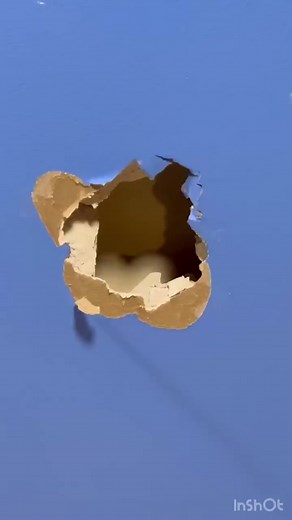 Buiding house on TikTok