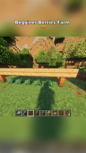 Minecraft Easy Starter Sweet Berries Farm 🍓 | Beginner Friendly Survival Guide #shorts #minecraft