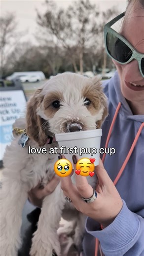 Love at first pup cup 🥺