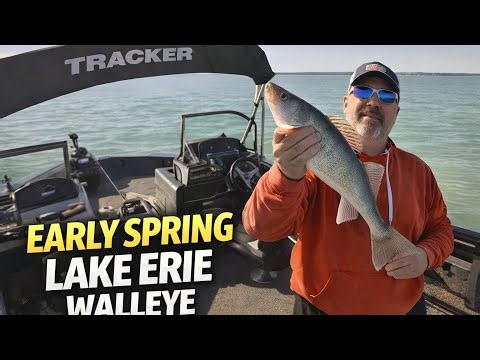 Lake Erie Walleye Fishing ( Cold Water = BIG BITE )
