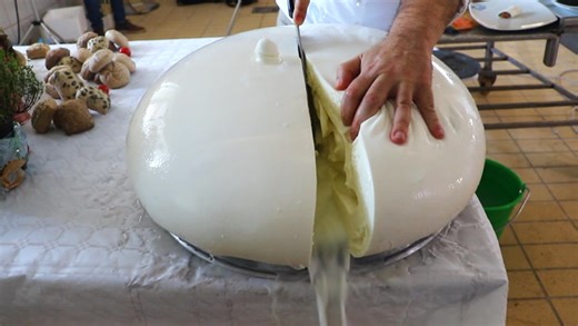 How 20 cheeses are made around the world