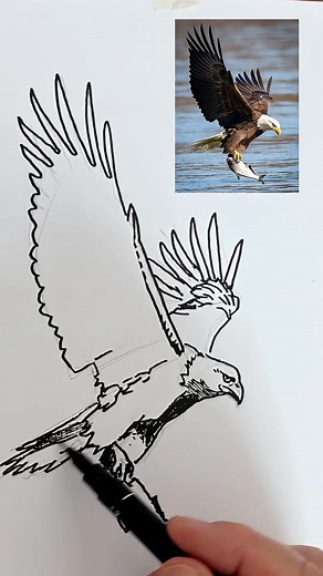 TUTO dessin de l_AIGLE #TUTORIEL #dessiner_drawing #voiture #griboullis #Titeuf | Golden Hour Media