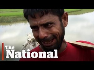 Rohingya Muslims fleeing Myanmar describe military's violence and killings