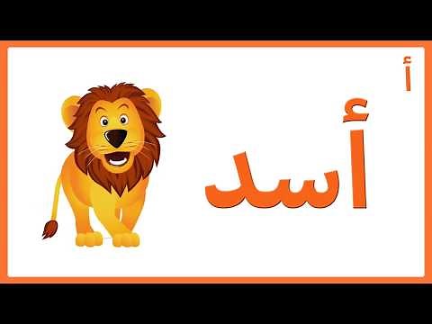 أغنية أحرفنا | Our Alphabet Song | Lali Kids