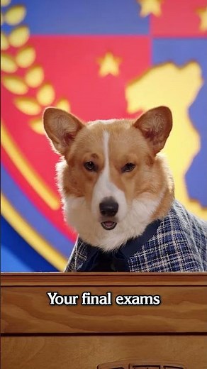 The end of your first dog year!