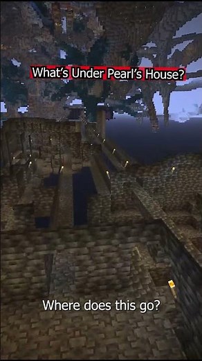 Have You Ever Used Spectator Mode in Minecraft